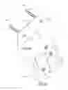Fig. 06 - STRUCTURE REINFORCEMENT SYSTEM AND METHOD