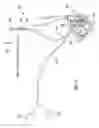 Fig. 04 - Linkage system for vehicle door latch