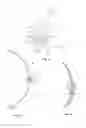 Fig. 04 - Shutter slat and compact shutter assembly