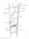 Fig. 15 - Hunting ladder guard