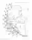 Fig. 03 - Drill bit having shear cutters and gouging cutters