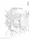 Fig. 06 - Drill bit having shear cutters and gouging cutters