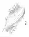 Fig. 05 - DOWNHOLE APPARATUS AND METHOD