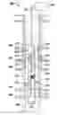 Fig. 01 - Estimating contamination during focused sampling