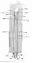 Fig. 01 - Friction bolt assembly