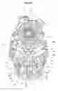 Fig. 04 - Outboard motor