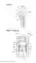 Fig. 06 - Piston for internal combustion engine