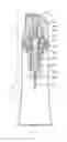 Fig. 01 - ONE TURN ACTUATED DURATION SPRAY PUMP MECHANISM