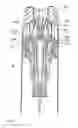 Fig. 05 - ONE TURN ACTUATED DURATION SPRAY PUMP MECHANISM