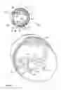 Fig. 28 - ONE TURN ACTUATED DURATION SPRAY PUMP MECHANISM