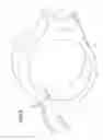 Fig. 09 - Variable displacement pump