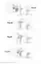 Fig. 04 - CONNECTION ASSEMBLY WITH BAYONET LOCKING OF THE CONNECTION ELEMENTS