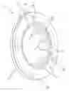 Fig. 01 - Keyed brake disk assembly