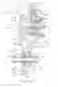Fig. 23 - Belt type continuously variable transmission device