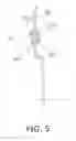 Fig. 05 - Pendulum damper device and lock-up device for torque converter