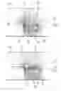 Fig. 05 - VALVE HAVING A LINEAR DRIVE FOR THE VALVE PISTON