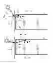 Fig. 02 - Louvered light re-directing structure