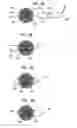 Fig. 06 - Shabbat bulb