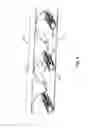 Fig. 05 - Lighting assembly