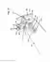 Fig. 28 - Lighting assembly