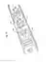 Fig. 32 - Lighting assembly