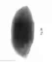 Fig. 37 - Lighting assembly