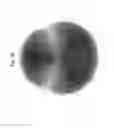 Fig. 40 - Lighting assembly