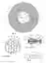 Fig. 03 - HEAT TRANSFER PLATE