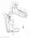 Fig. 04 - Adjustable length slide-action rifle stock
