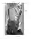 Fig. 04 - FIREARM SHOULDER HARNESS