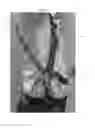 Fig. 10 - FIREARM SHOULDER HARNESS