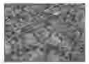 Fig. 01 - Camouflage Patterns