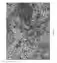 Fig. 02 - Camouflage Patterns