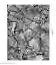 Fig. 05 - Camouflage Patterns