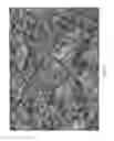 Fig. 08 - Camouflage Patterns