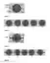 Fig. 07 - Methods and Devices For Guidance and Control of High-Spin Stabilized Rounds