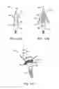 Fig. 16 - System and Method for Improving Athletic Performance