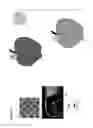 Fig. 02 - Sensor-synchronized spectrally-structured-light imaging