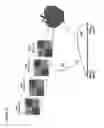 Fig. 13 - Sensor-synchronized spectrally-structured-light imaging