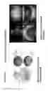 Fig. 28 - Sensor-synchronized spectrally-structured-light imaging