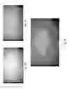 Fig. 46 - Sensor-synchronized spectrally-structured-light imaging