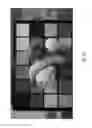 Fig. 51 - Sensor-synchronized spectrally-structured-light imaging