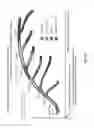Fig. 57 - Sensor-synchronized spectrally-structured-light imaging
