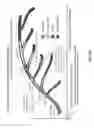 Fig. 58 - Sensor-synchronized spectrally-structured-light imaging