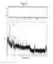 Fig. 10 - METHODS OF ANALYSING APPARATUS