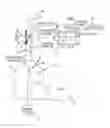 Fig. 01 - Sheath fluid systems and methods for particle analysis in blood samples