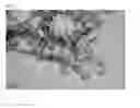 Fig. 04 - Hydrogen ion electrode composed of composite material of nano iridium oxide and polymer resin and enabling surface regeneration, pH sensor using same, and method for manufacturing same