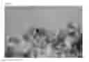 Fig. 05 - Hydrogen ion electrode composed of composite material of nano iridium oxide and polymer resin and enabling surface regeneration, pH sensor using same, and method for manufacturing same