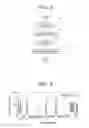 Fig. 04 - Gene mutation analyzer, gene mutation analysis system, and gene mutation analysis method