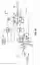 Fig. 04 - Apparatus and method for introducing sample into a separation unit of a chromatography system without disrupting a mobile phase